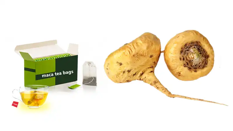 What are the health benefits of maca extract powder?